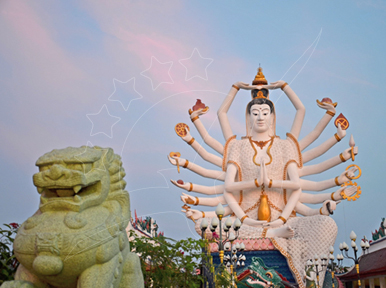 Discover Samui Island Ferry Services | Ferry to Samui Island | Samui Speedboat Service