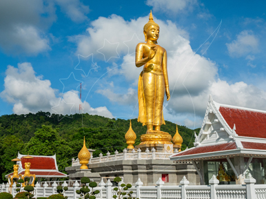 Hat Yai Ferry Travel to Phi Phi, Koh Lanta, Koh Samui, Phuket and Other Destinations