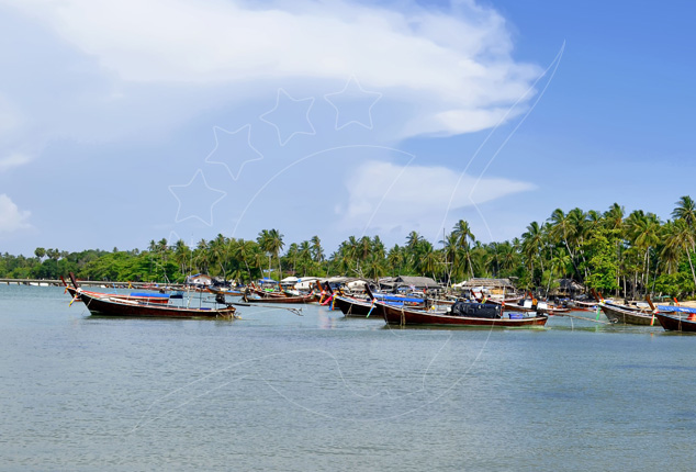 Wooden longtail boats moored along a calm bay with dense palm trees and blue sky in southern Thailand