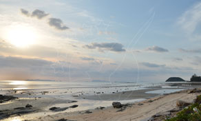 Samui Island Samui Beaches