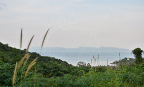 Samui Island Getting Around Samui