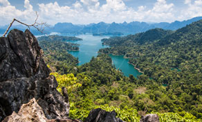 Khao Sok National Park Flora