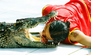 Samui Airport Samui Crocodile Farm