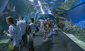 Pattaya Family Activities