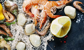 Koh Nang Yuan One Night In The Paradise