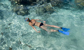 Koh Nang Yuan Snorkeling And Scuba Diving