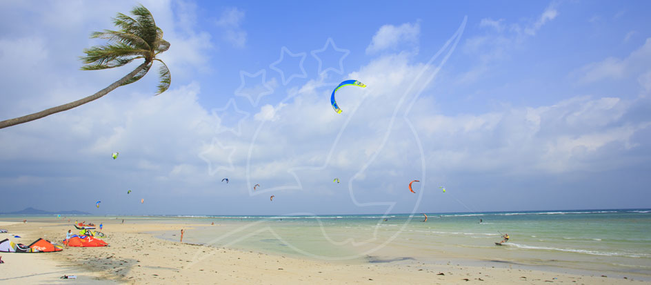蘇梅島風箏衝浪
