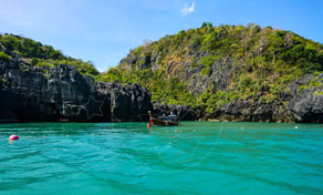 Koh Bulon Take a stroll in the forest