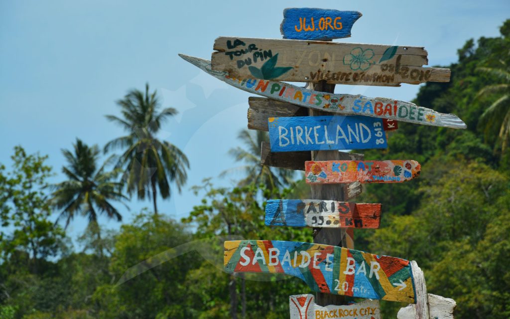 Colourful hand-painted wooden signpost with destination arrows beside palm trees and jungle under blue sky