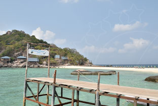 The Islands Near Koh Samui in Spotlight - Koh Tao