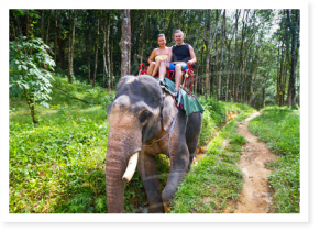 Excursión en elefante