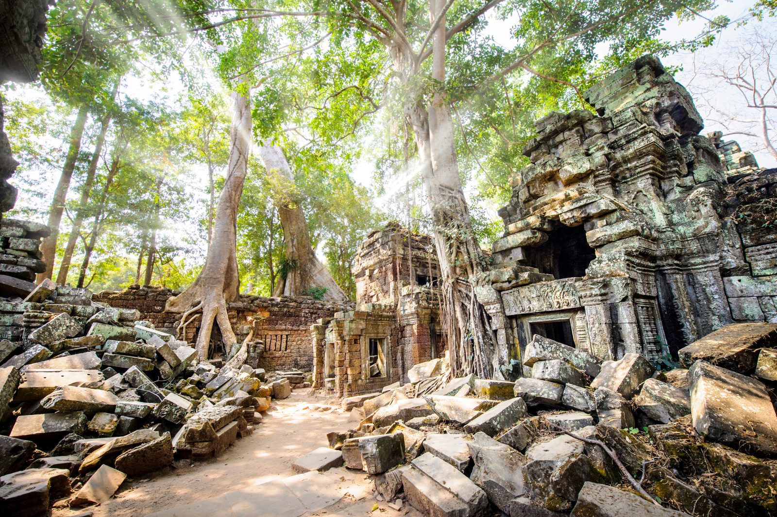 Ta Prohm, Angkor